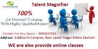 Talent Magnifier image 4